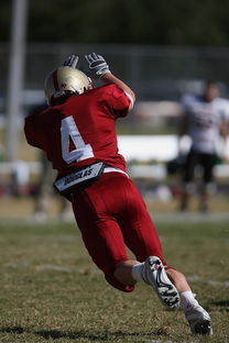 乐鱼登陆网站-校园足球支持学生裁判项目拓展多元职业通路，普通高校足球专业学生裁判能力的培养