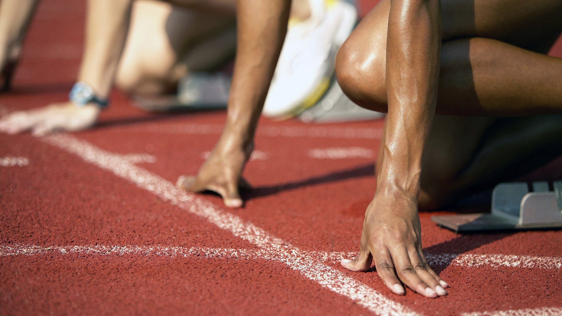 乐鱼vip-塞内加尔马术协会与国际组织合作，推广“Lamb”至全球。，塞内加尔体育馆